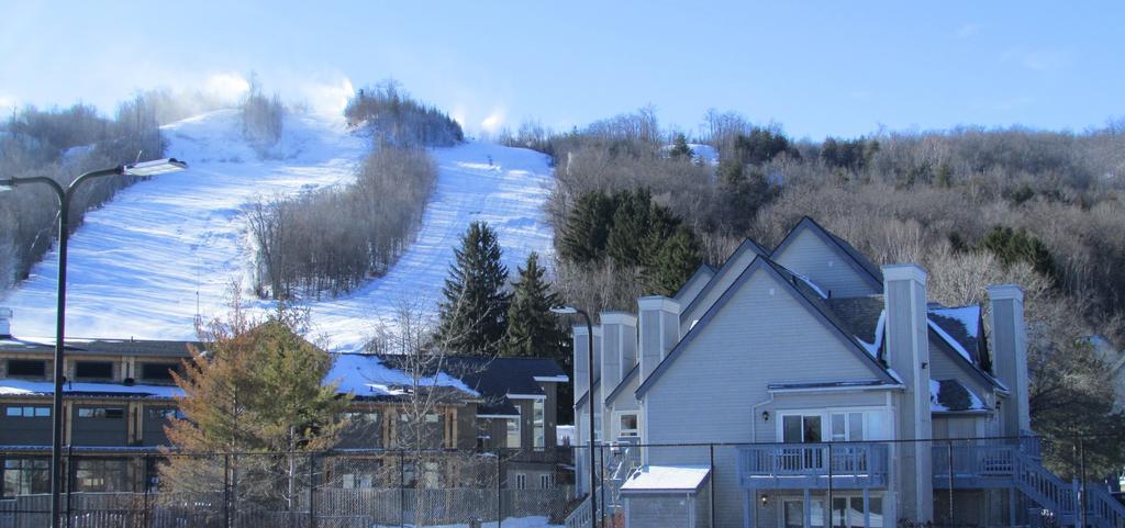 Blue Mountain Apartment At North Creek Resort 蓝山 外观 照片
