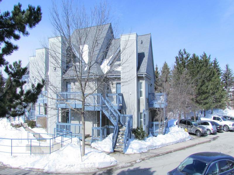 Blue Mountain Apartment At North Creek Resort 蓝山 外观 照片