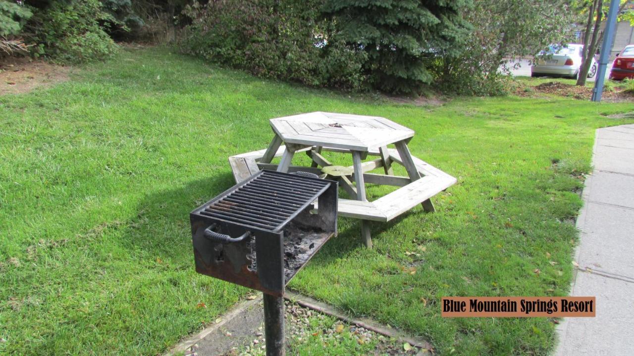 Blue Mountain Apartment At North Creek Resort 蓝山 外观 照片