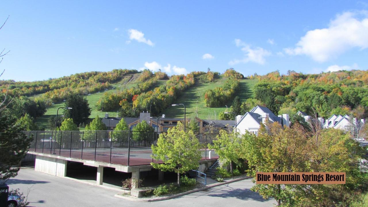 Blue Mountain Apartment At North Creek Resort 蓝山 外观 照片
