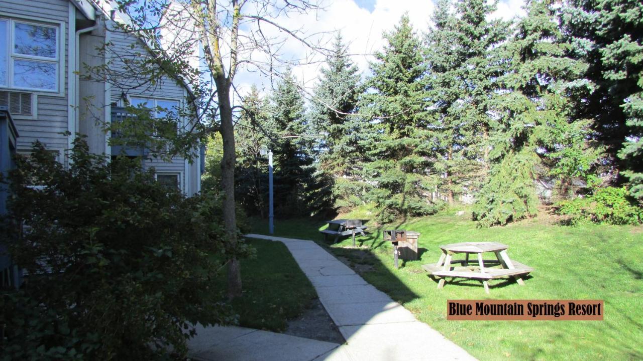 Blue Mountain Apartment At North Creek Resort 蓝山 外观 照片